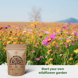 21 Annual Wildflower Seeds Variety Pack - Over 100,000 Non-GMO, Heirloom Seeds - Organo Republic
