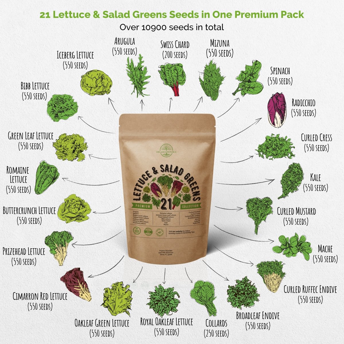 21 Lettuce & Salad Greens Seeds Variety Pack 10,000 Non-GMO Heirloom Lettuce Seeds - Organo Republic