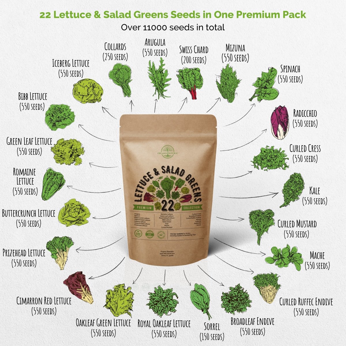 22 Lettuce & Salad Greens Seeds Variety Pack 10,000 Non-GMO Heirloom Lettuce Seeds - Organo Republic