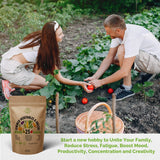 25 Summer Vegetable & Arugula Microgreens Seeds Bundle Non-GMO Heirloom Seeds for Planting Indoor and Outdoor Over 222,500 Microgreen & Vegetable Seeds in One Value Bundle - Organo Republic