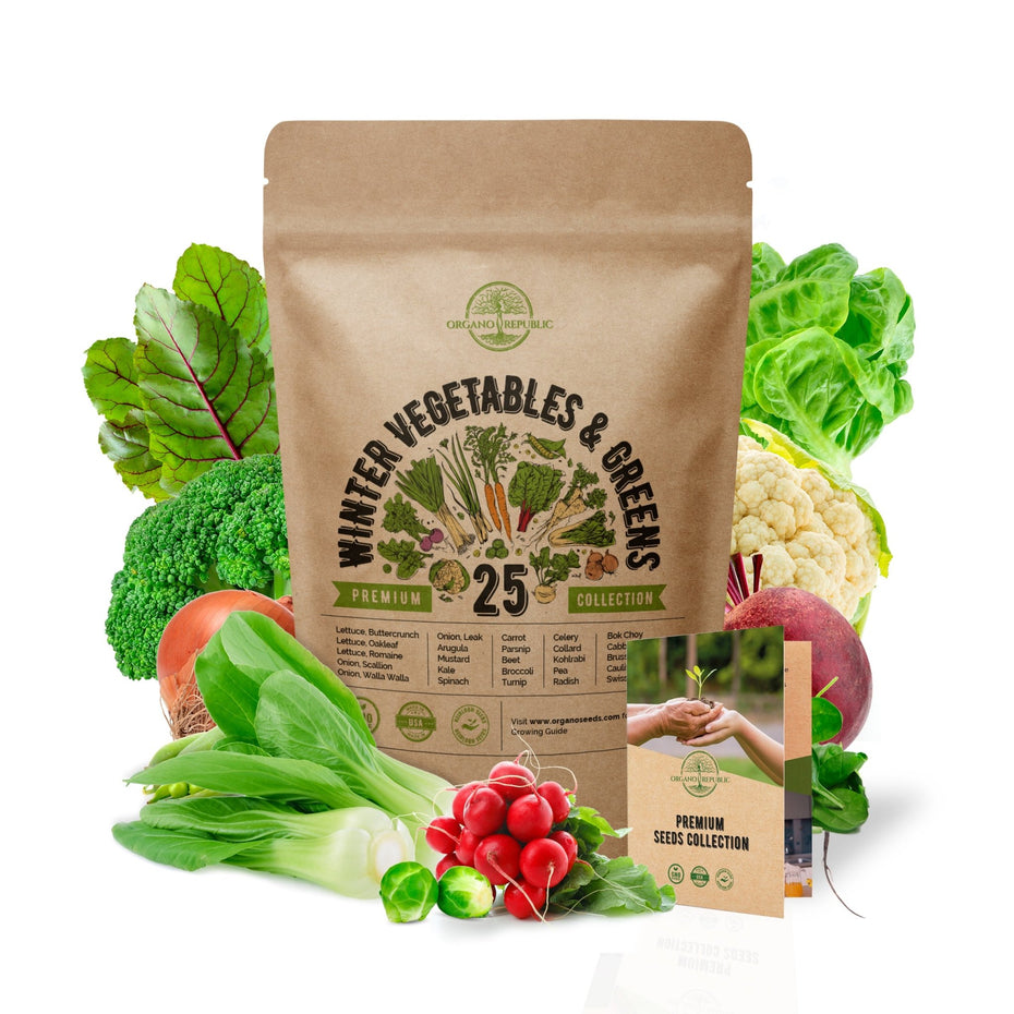 Vegetable seeds Buy Online Vegetable seeds at the Best Price from