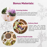 30 Culinary Herbs & Edible Flower Seeds Variety Pack for Planting Indoor & Outdoors. - Organo Republic