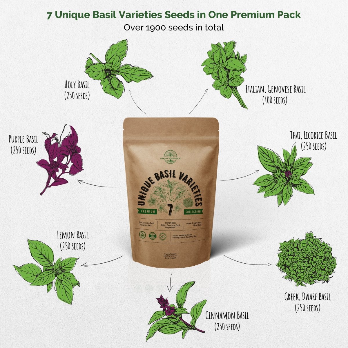 7 Basil Herb & 15 Medicinal Herb Seeds Variety Packs Bundle - Organo Republic