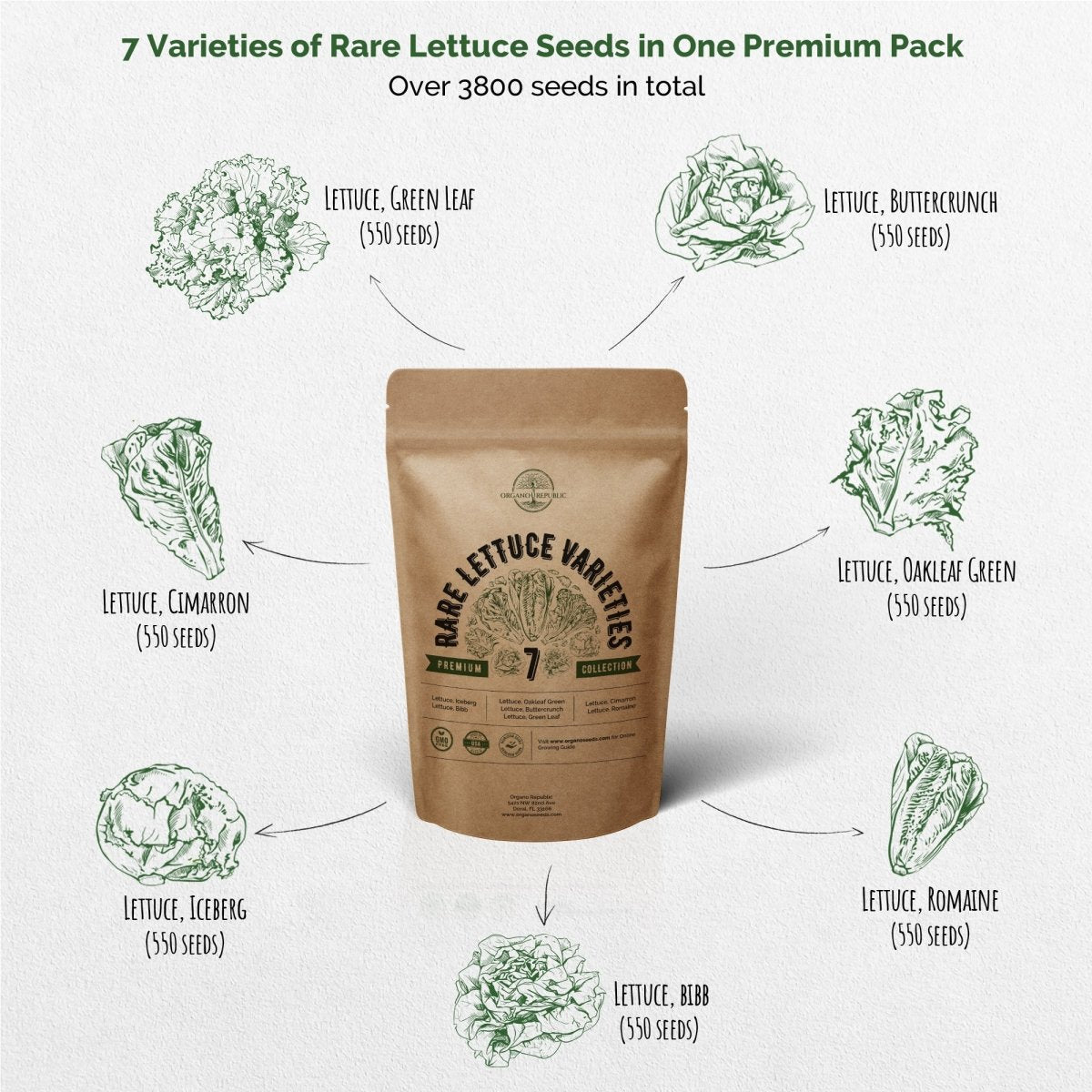 7 Lettuce & 25 Summer Vegetable Seeds Variety Packs Bundle - Organo Republic