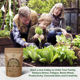 Salad Seeds Variety Pack - 7 Lettuce Seeds Variety Pack - Over 3800 Non-GMO, Heirloom Seeds