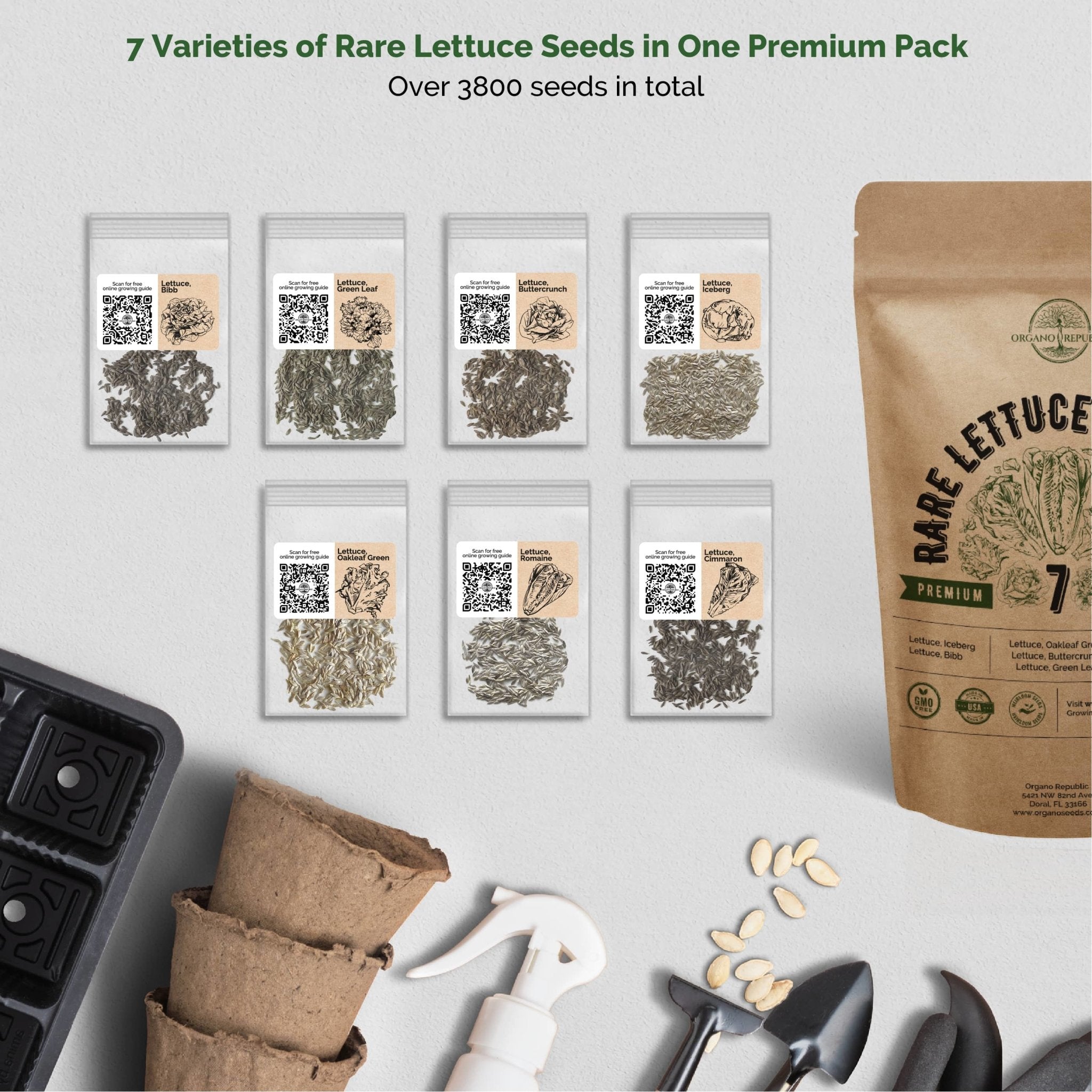 Salad Seeds Variety Pack - 7 Lettuce Seeds Variety Pack - Over 3800 Non-GMO, Heirloom Seeds