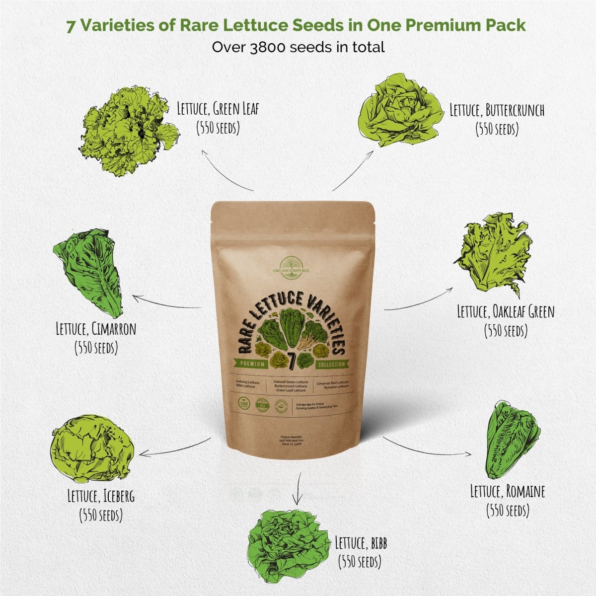 7 Lettuce Seeds Variety Pack - Over 3800 Non-GMO, Heirloom Seeds - Organo Republic