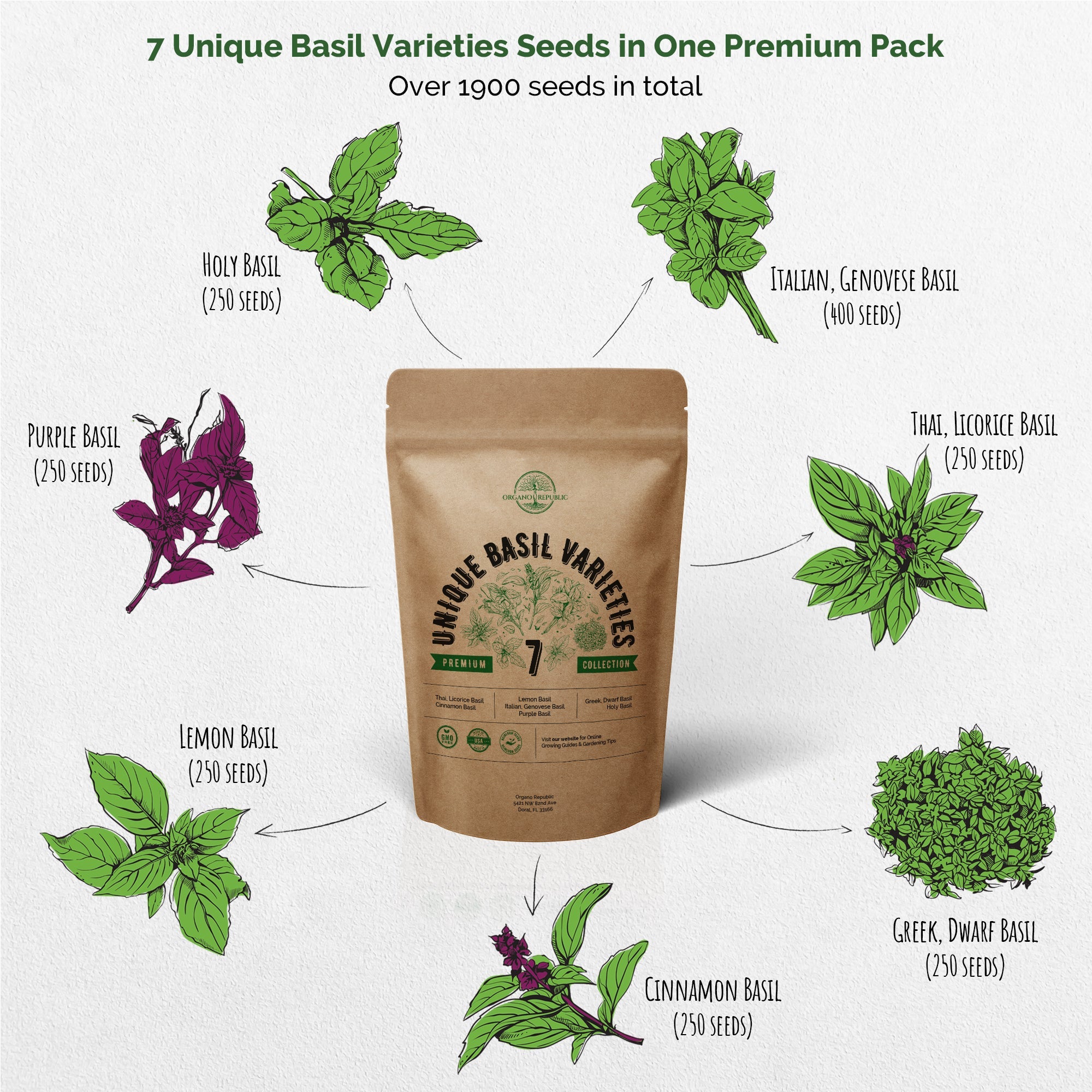 Herb Seeds Variety Pack - 7 Unique Basil Varieties Seeds Pack - Over 1900 Non-GMO, Heirloom Seeds