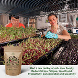 Arugula & Beet Microgreens Seeds Bundle Non-GMO Heirloom Seeds for Planting Indoor and Outdoor Over 240,000 Microgreen & Sprouting Seeds in One Value Bundle - Organo Republic