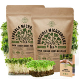 Arugula & Broccoli Microgreens Seeds Bundle Non-GMO Heirloom Seeds for Planting Indoor and Outdoor Over 330,000 Microgreen & Sprouting Seeds in One Value Bundle - Organo Republic
