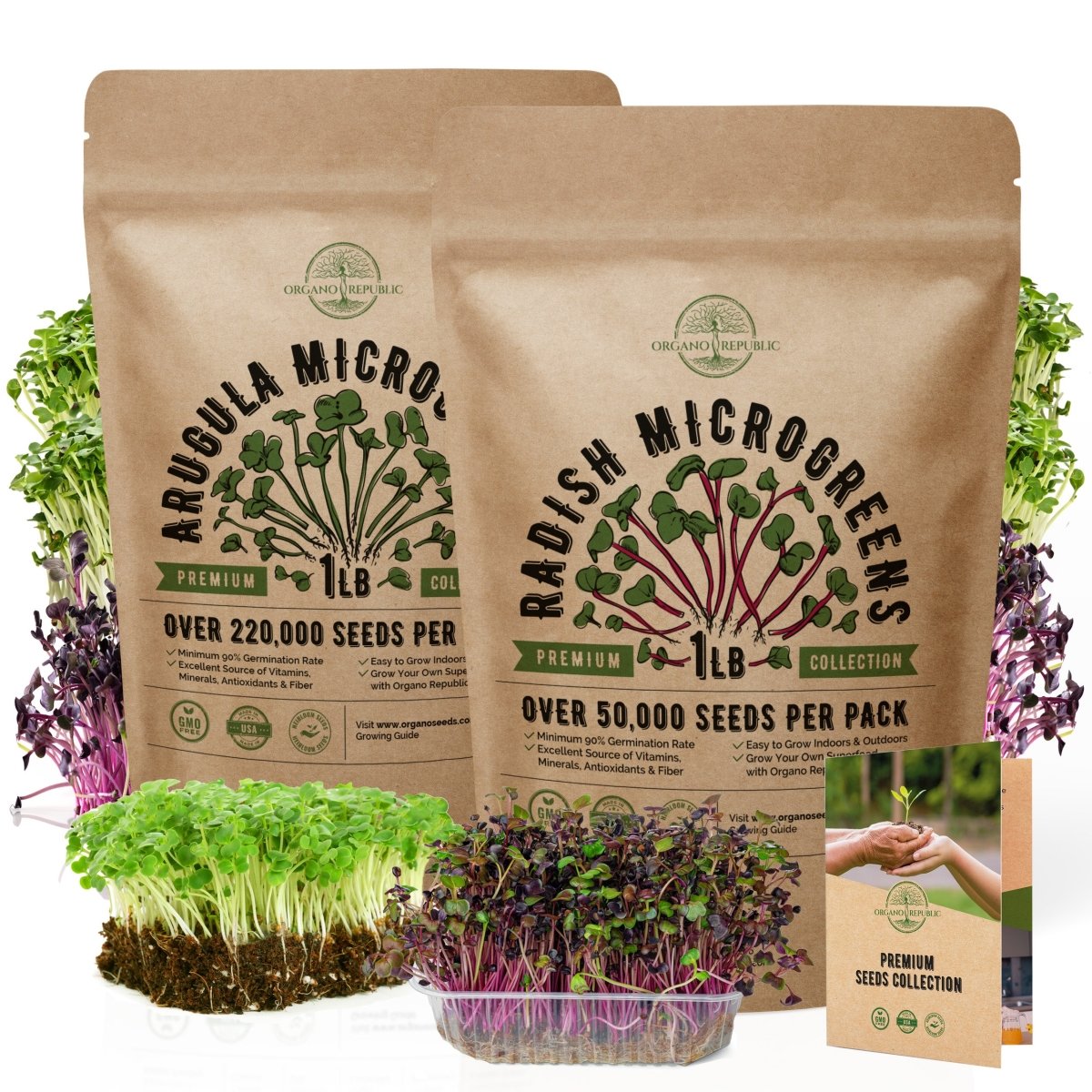 Arugula & Radish Microgreens Seeds Bundle Non-GMO Heirloom Seeds for Planting Indoor and Outdoor Over 270,000 Microgreen & Sprouting Seeds in One Value Bundle - Organo Republic