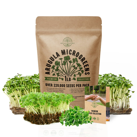 Microgreens & Sprouting Seeds - Arugula Sprouting & Microgreens Seeds - Over 220 000 Non-GMO, Heirloom Seeds