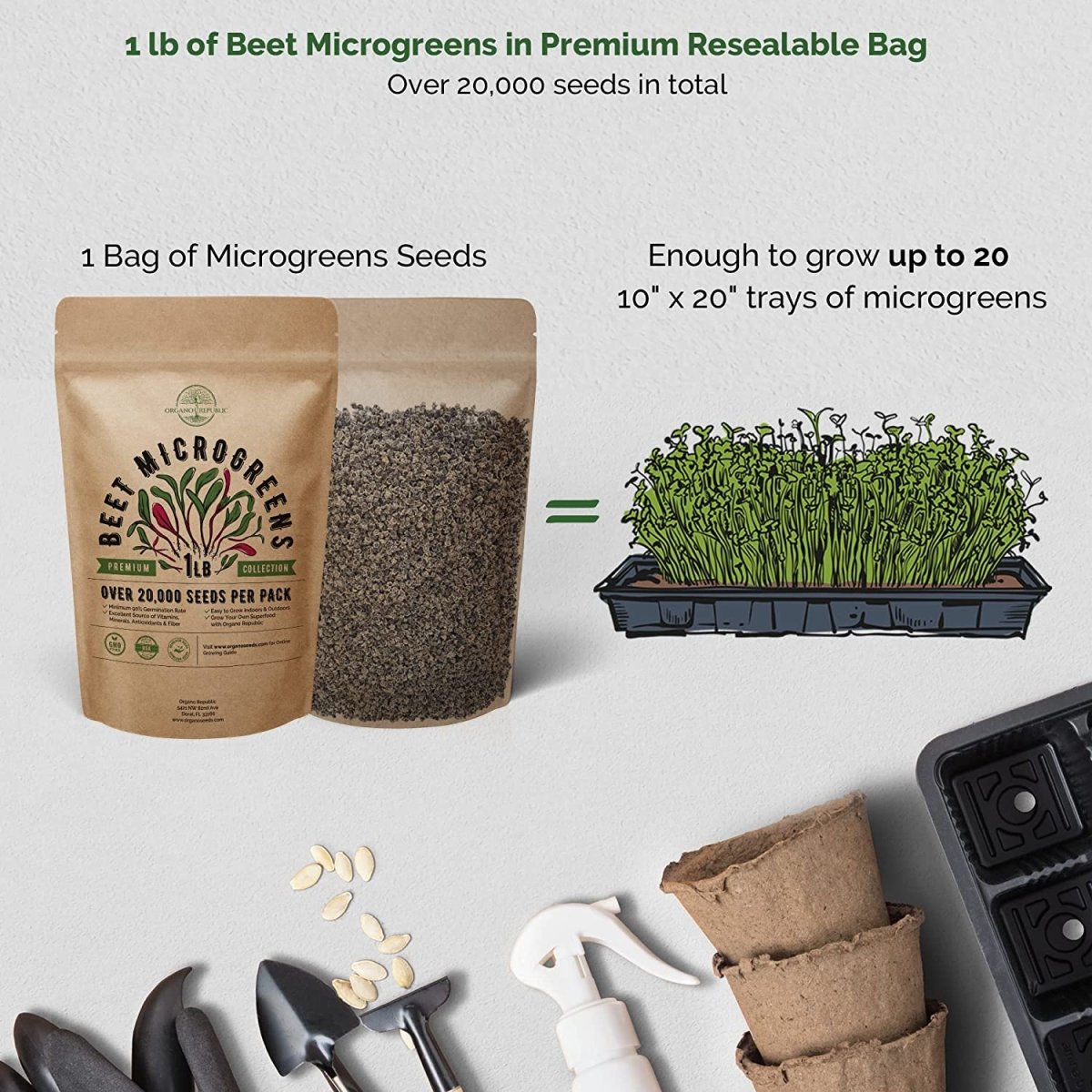 Beet Microgreens & 20 Most Popular Vegetables Seeds Bundle Non-GMO Heirloom Seeds for Planting Indoor and Outdoor Over 21,300 Microgreen & Vegetables Seeds in One Value Bundle - Organo Republic