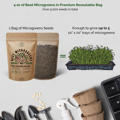 Beet Sprouting & Microgreens Seeds 4oz - Over 5 000 Non-GMO, Heirloom Seeds - Organo Republic