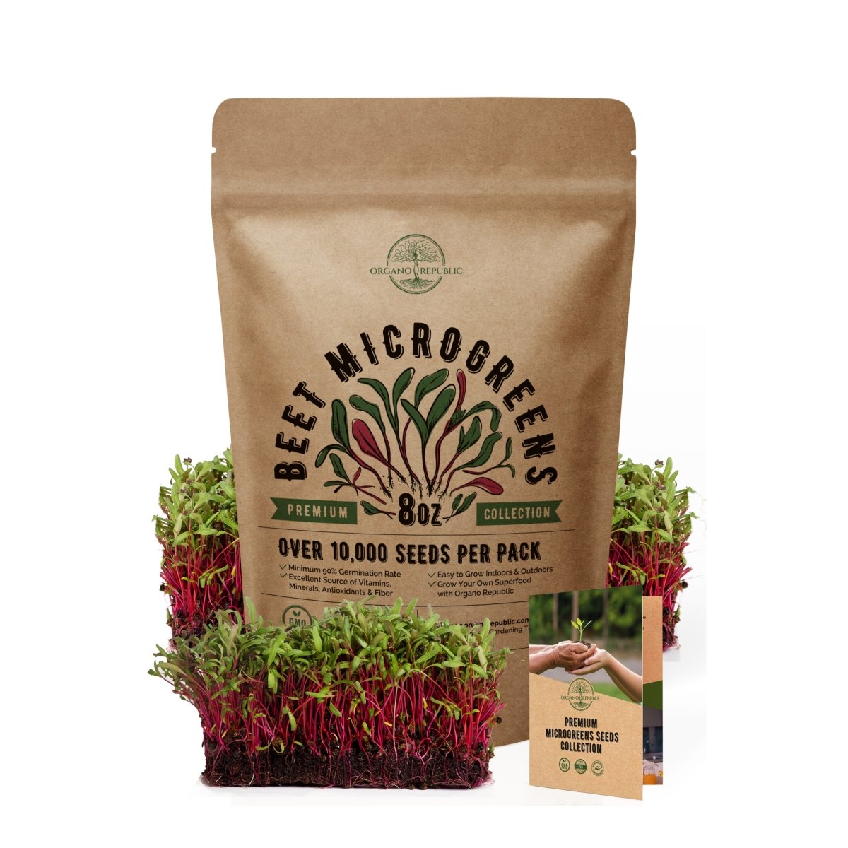 Beet Sprouting & Microgreens Seeds 8oz - Over 10 000 Non-GMO, Heirloom Seeds - Organo Republic
