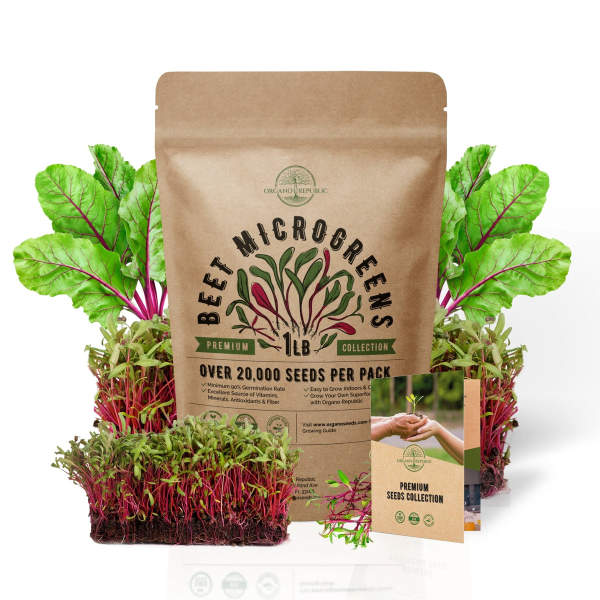 Microgreens & Sprouting Seeds - Beet Sprouting & Microgreens Seeds - Over 20 000 Non-GMO, Heirloom Seeds