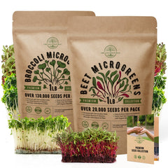 Broccoli & Beet Microgreens Seeds Bundle Non-GMO Heirloom Seeds for Planting Indoor and Outdoor Over 150,000 Microgreen & Sprouting Seeds in One Value Bundle - Organo Republic