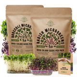 Broccoli & Radish Microgreens Seeds Bundle Non-GMO Heirloom Seeds for Planting Indoor and Outdoor Over 180,000 Microgreen & Sprouting Seeds in One Value Bundle - Organo Republic