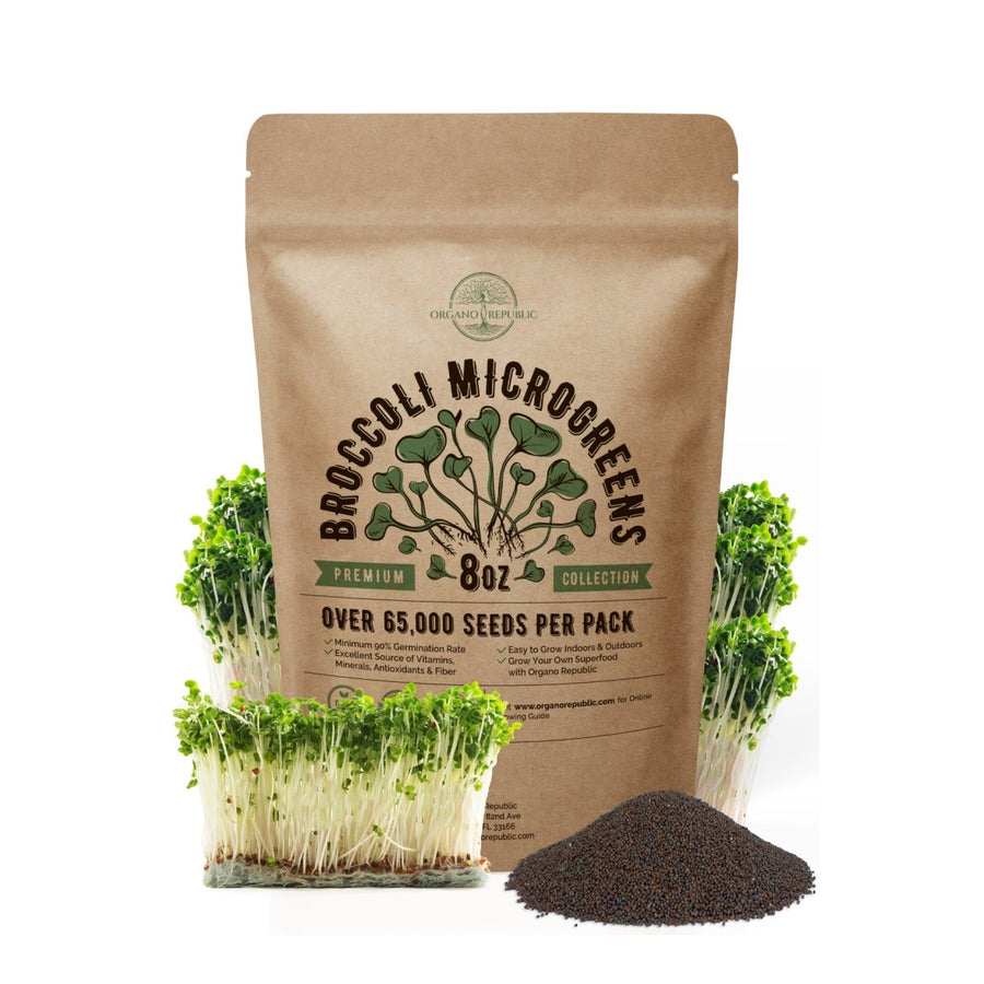 Broccoli Microgreen Seeds