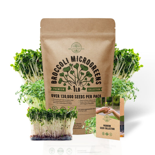 Microgreens & Sprouting Seeds - Broccoli Sprouting & Microgreens Seeds - Over 130 000 Non-GMO, Heirloom Seeds 2048