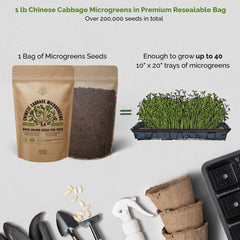Chinese Cabbage Sprouting & Microgreens Seeds 1lb - Over 200 000 Non-GMO, Heirloom Seeds - Organo Republic