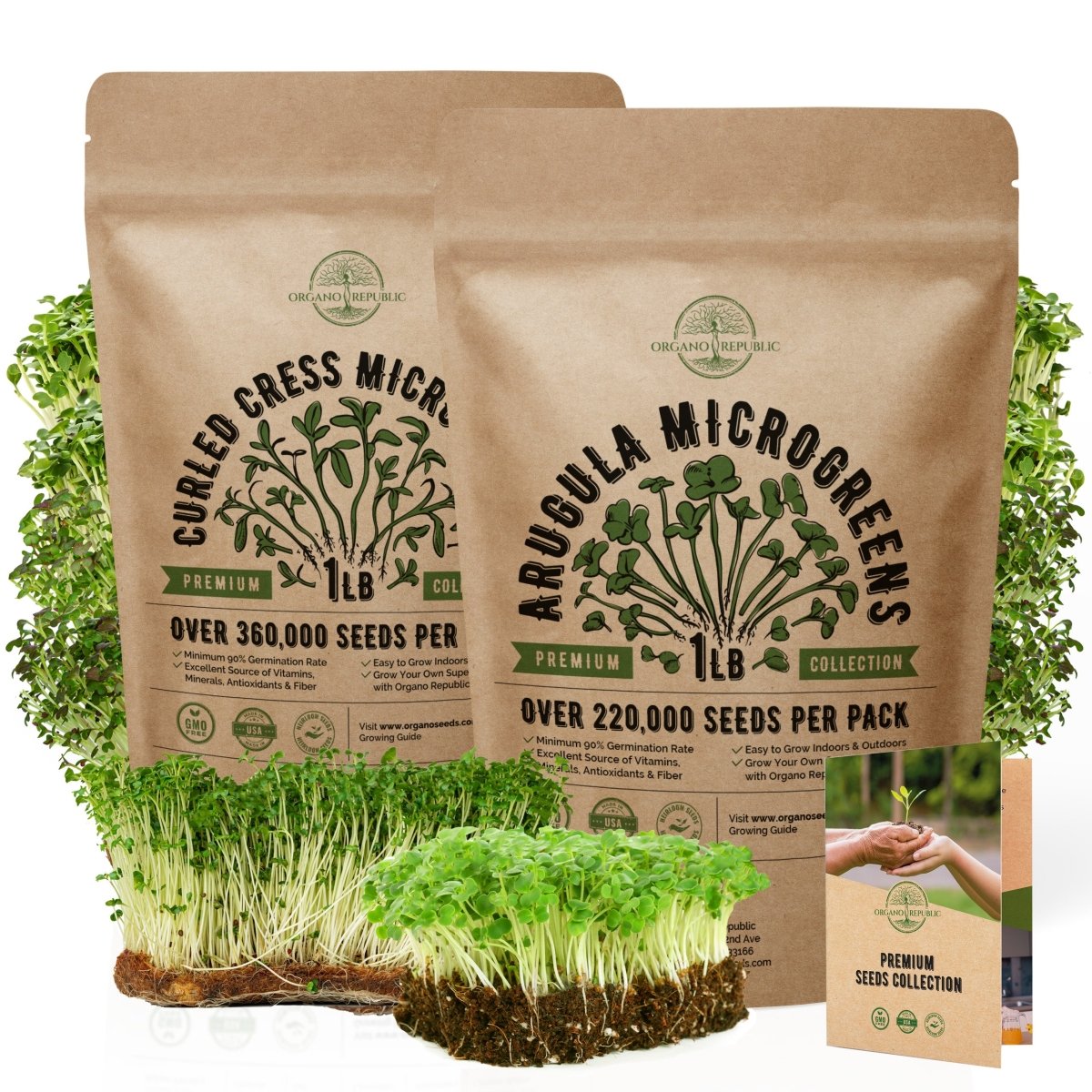 Cress & Arugula Microgreens Seeds Bundle Non-GMO Heirloom Seeds for Planting Indoor and Outdoor Over 580,000 Microgreen & Sprouting Seeds in One Value Bundle - Organo Republic