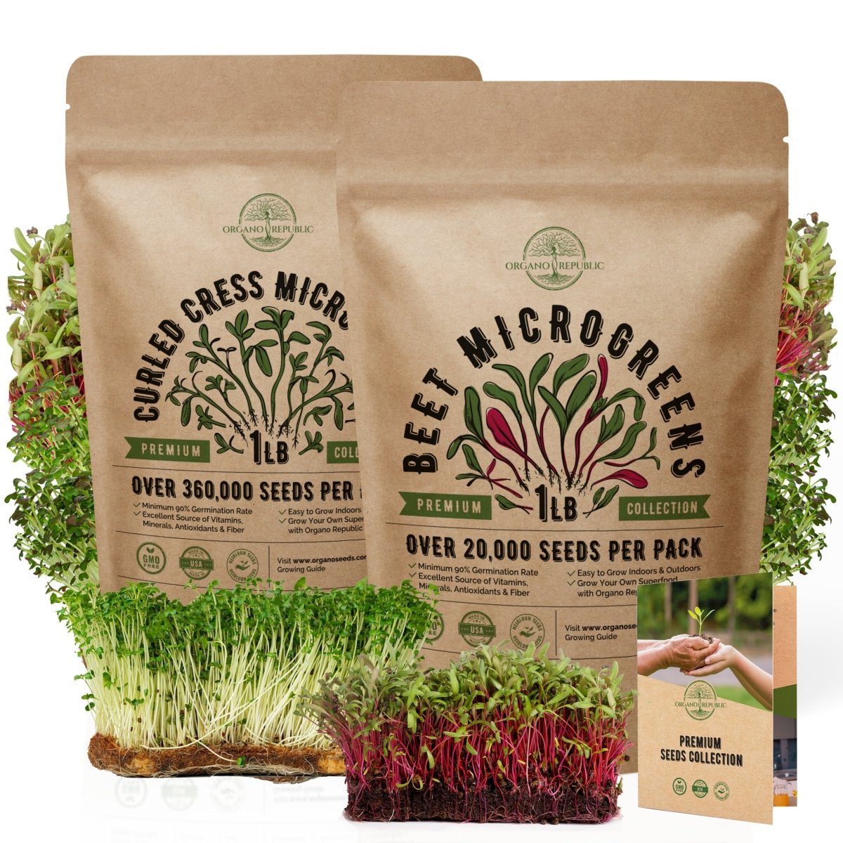 Cress & Beet Microgreens Seeds Bundle Non-GMO Heirloom Seeds for Planting Indoor and Outdoor Over 380,000 Microgreen & Sprouting Seeds in One Value Bundle - Organo Republic
