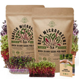 Radish & Beet Microgreens Seeds Bundle Non-GMO Heirloom Seeds for Planting Indoor and Outdoor Over 70,000 Microgreen & Sprouting Seeds in One Value Bundle - Organo Republic
