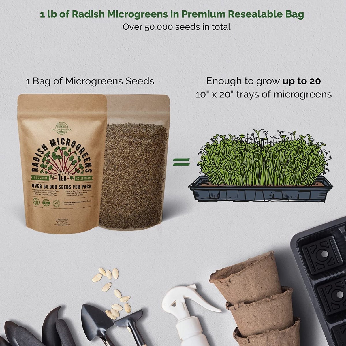 Radish Microgreens & 18 Culinary Herbs Seeds Bundle Non-GMO Heirloom Seeds for Planting Indoor and Outdoor Over 55,000 Microgreen & Herb Seeds in One Value Bundle - Organo Republic