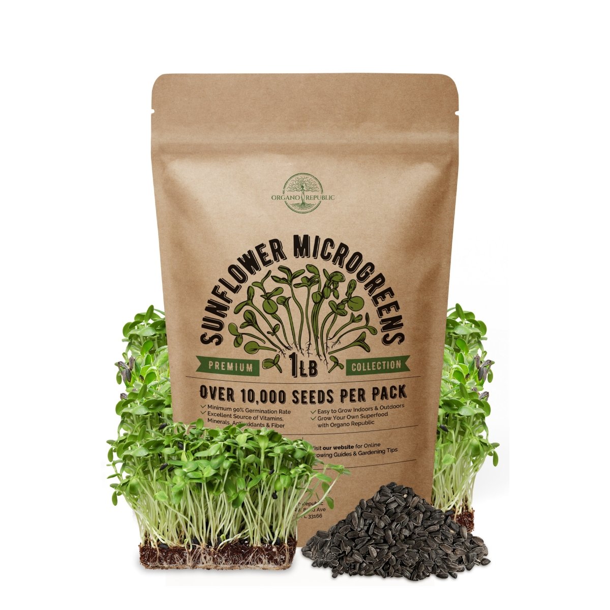 Sunflower Sprouting & Microgreens Seeds 1lb - Over 10 000 Non-GMO, Heirloom Seeds - Organo Republic