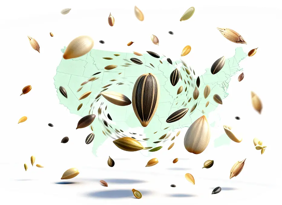 Fresh Seeds